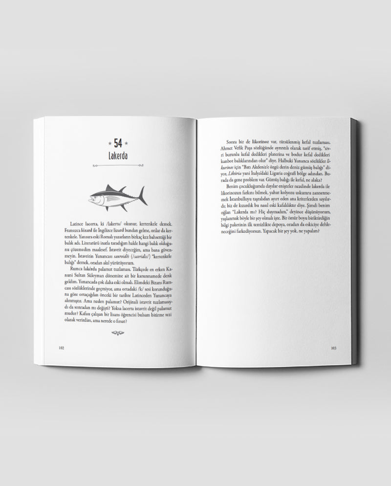 100 Güzel Kelime - Anason İşleri