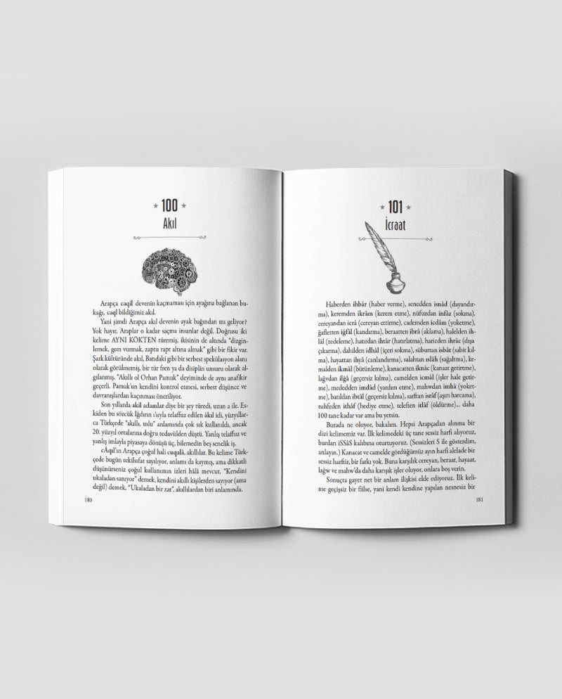 100 Güzel Kelime - Anason İşleri