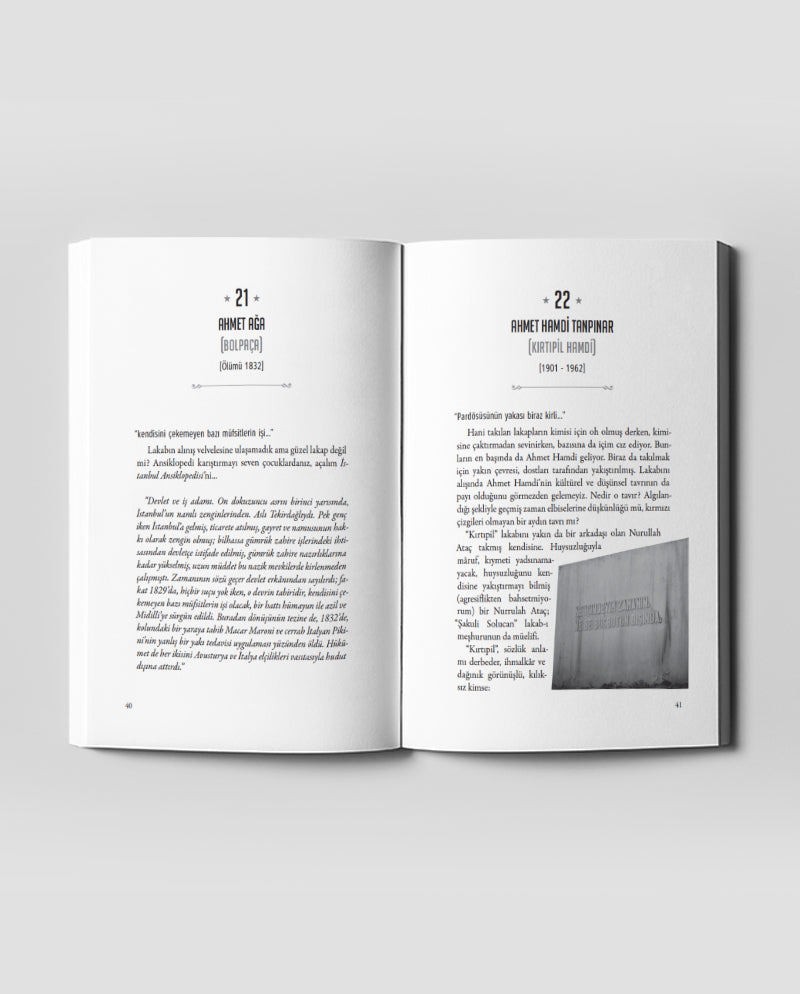 100 Lakap: Alınış Velveleleri İle - Anason İşleri