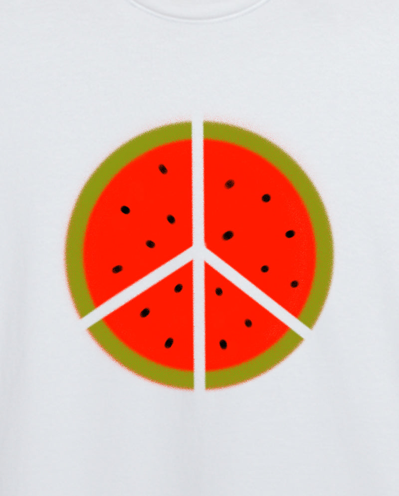 Filistin Direnişi Karpuz Erkek Tişört