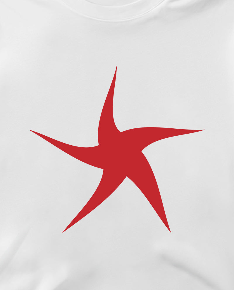 Neşeli yıldız Crop Tişört