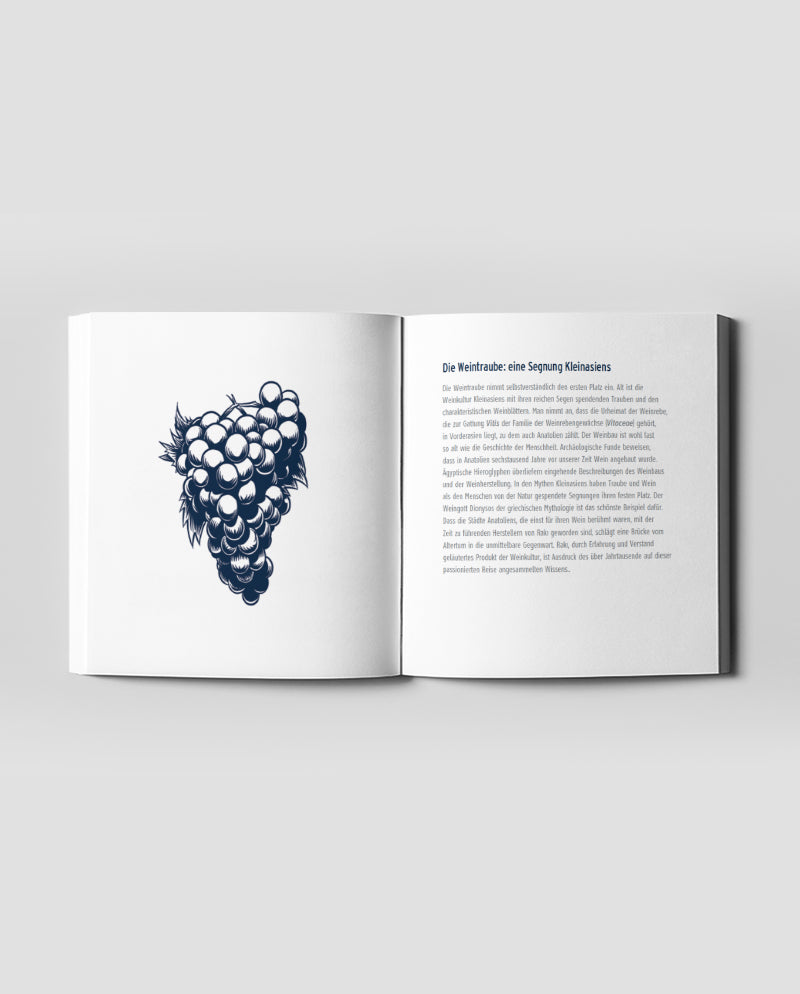 Rakı: Stets Neu, Stets Ganz Er Selbst