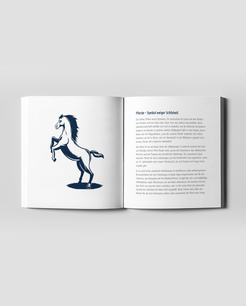 Rakı: Stets Neu, Stets Ganz Er Selbst