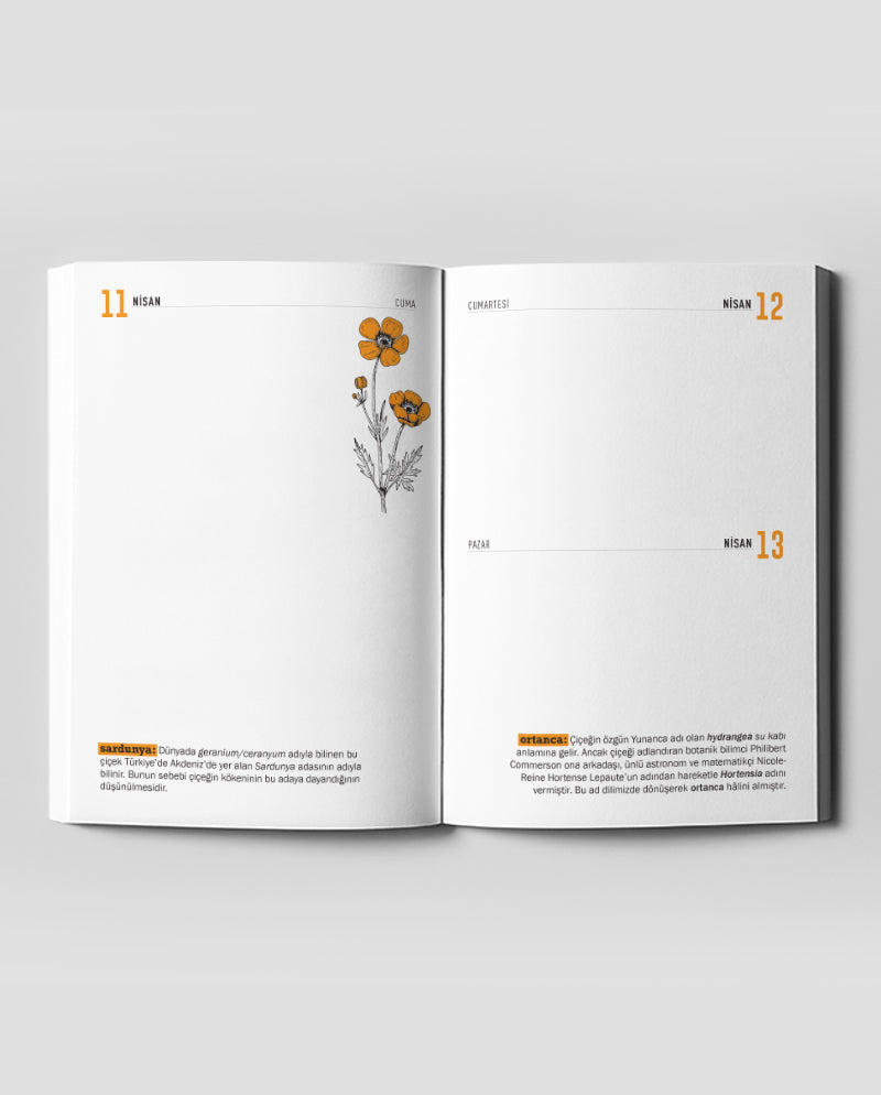 Kelimeli Ajanda 2025 HASARLI