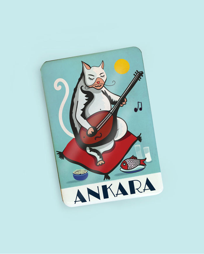 Hemşerim Magnetleri, Ankara