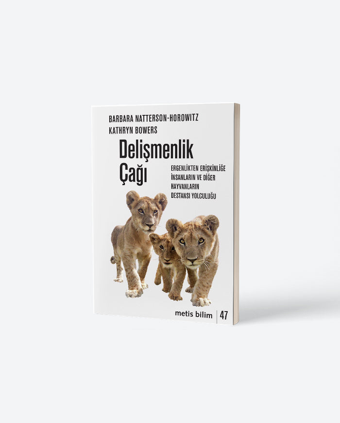 Delişmenlik Çağı