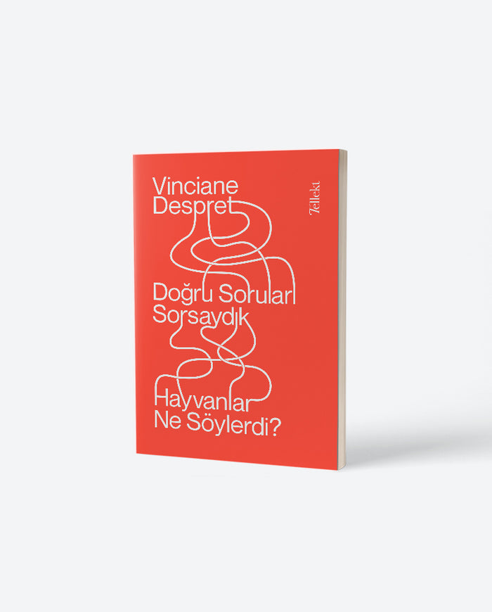 Doğru Soruları Sorsaydık Hayvanlar Ne Söylerdi?