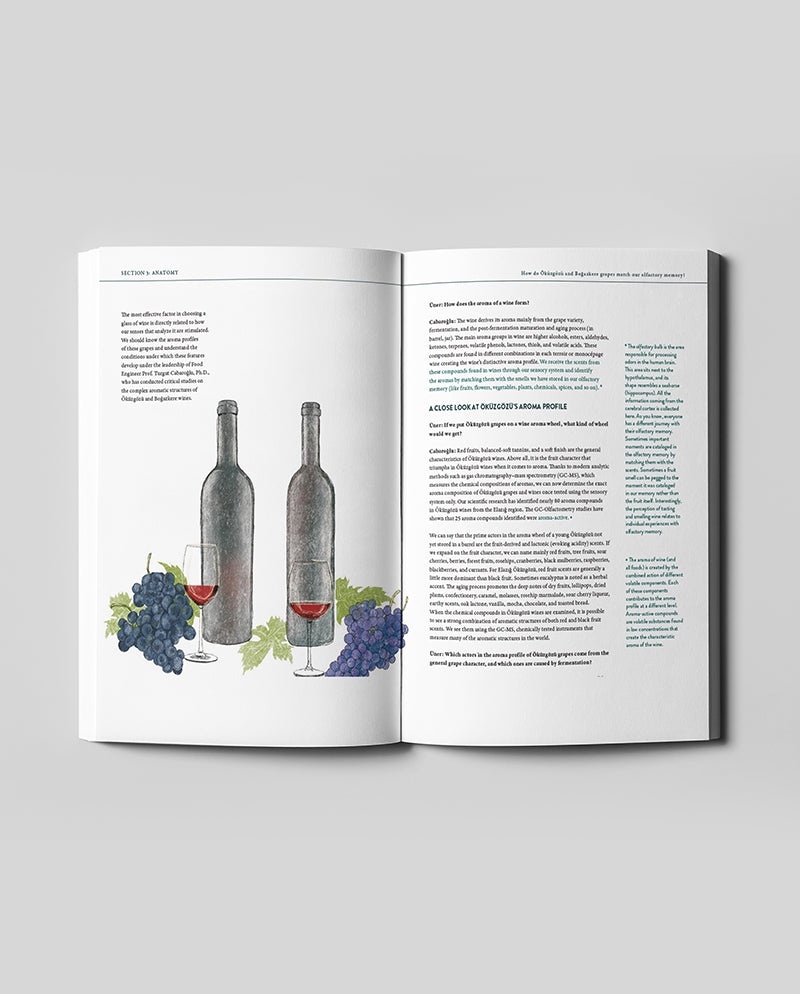 Öküzgözü & Boğazkere: Anatolia's Legacy for the Future