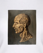 Çıplak Vücutlardan Oluşan Adam Kafası Kadın Tişört