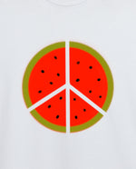 Filistin Direnişi Karpuz Erkek Tişört