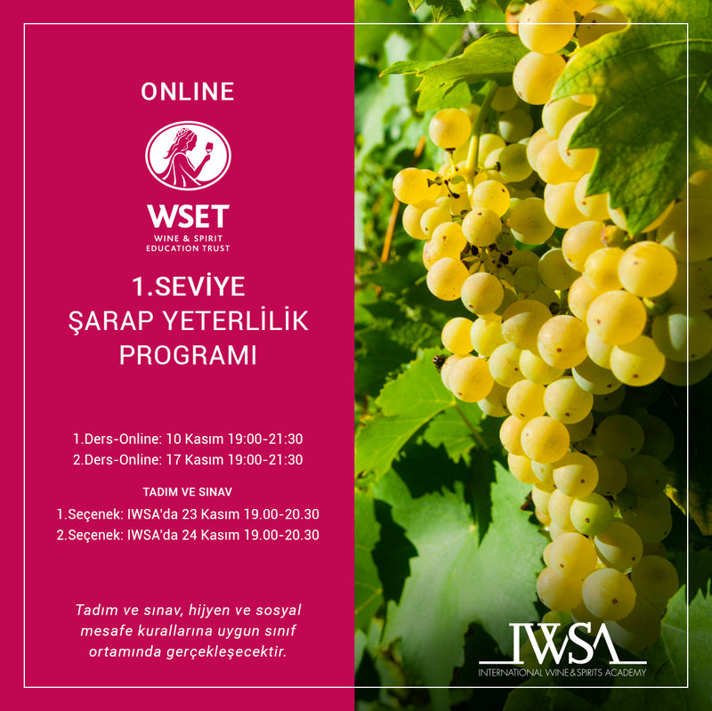 WSET 1. Seviye Şarap Yeterlilik Programı
