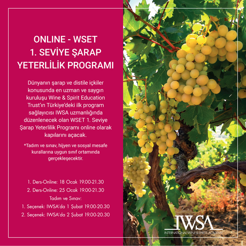 WSET 1. Seviye Şarap Yeterlilik Programı